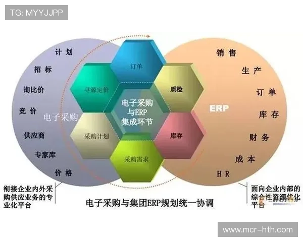 订阅制在体育服务供应链中普及稳定供需关系